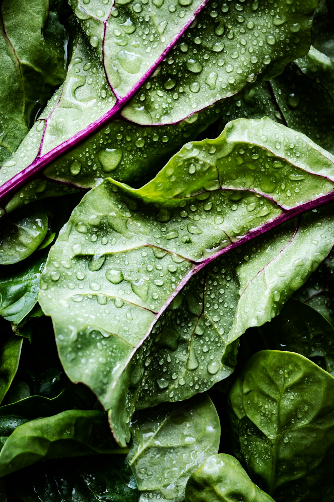 Nutritional Balance